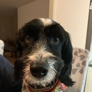 Meet your Posher, Erick